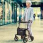 Preview: Leichtgewicht-Rollator TAiMA S-GT, sepia-metallic
