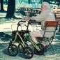 Preview: Rollator TAiMA XC PU-bereift, oasisgrün-metallic